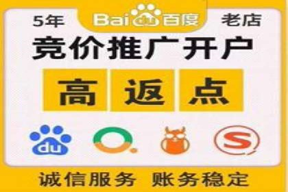 百度推广实战攻略：案例与策略